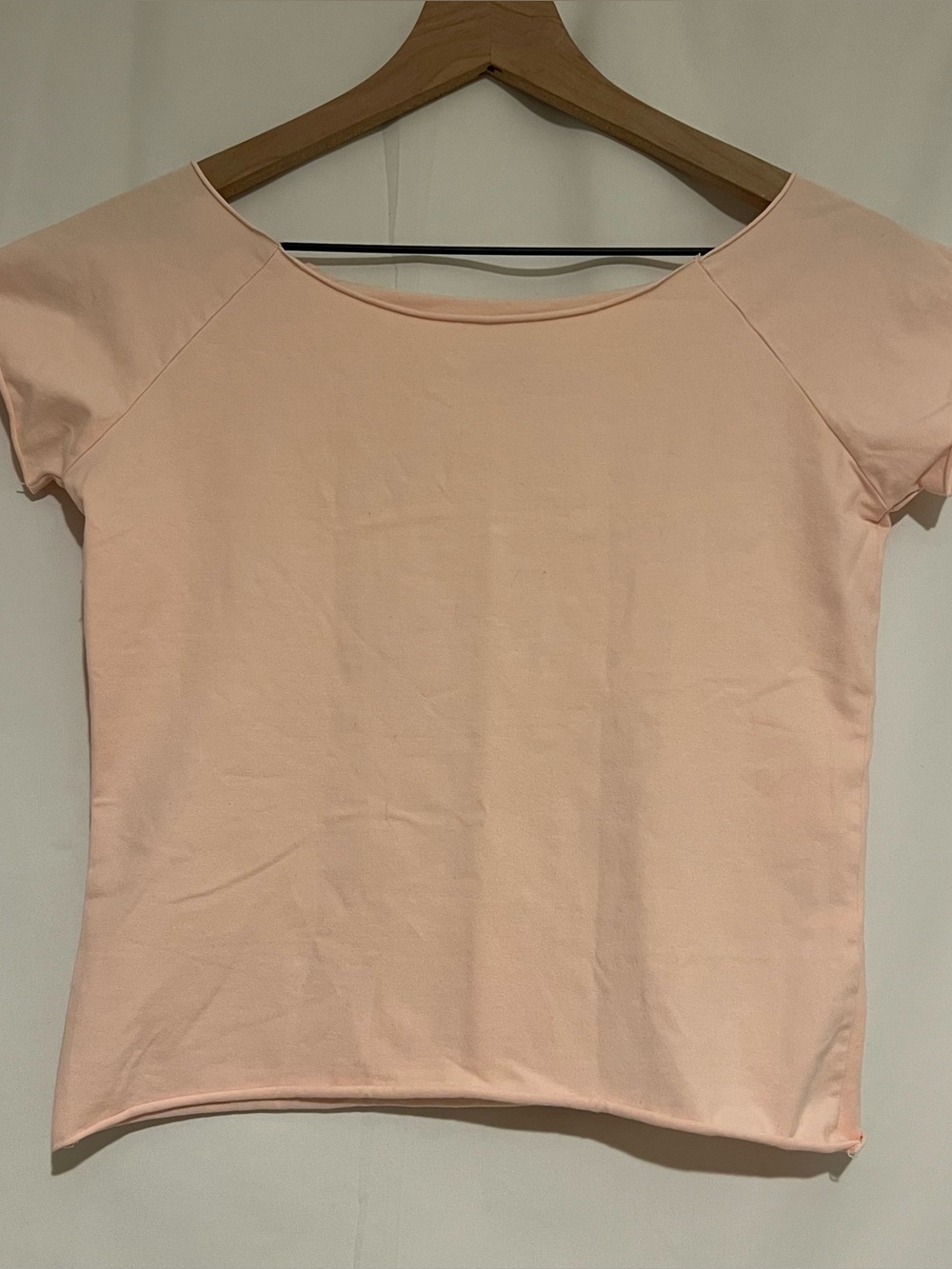 NWOT Brandy Melville Pink Bonnie Top